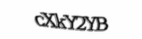 Security check image, please type the characters shown